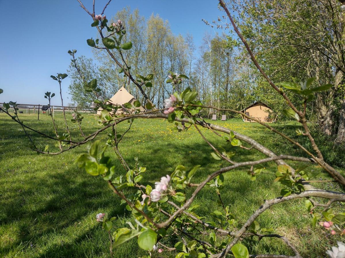 Grytmanshoeve vakantiehuis en B&B met glamping Niawier Buitenkant foto