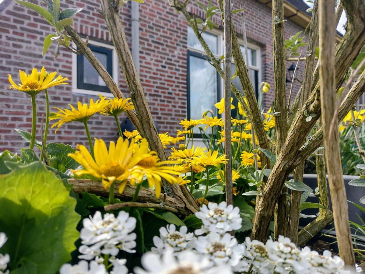 Grytmanshoeve vakantiehuis en B&B met glamping Niawier Buitenkant foto